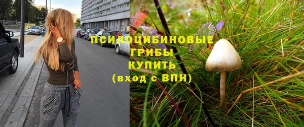 марки lsd Рославль