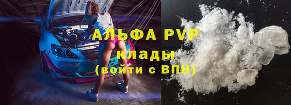крисы Ростов